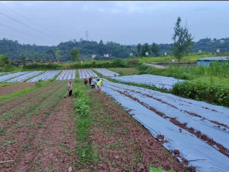 20250708170505062955.jpg 微信截图_20250708170014.jpg